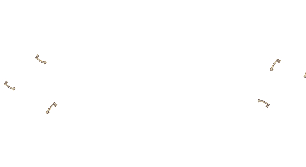 decorative image